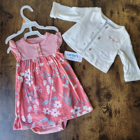 Carter's Other - NEW 2 Piece Carter's 12 Months Girl Set
